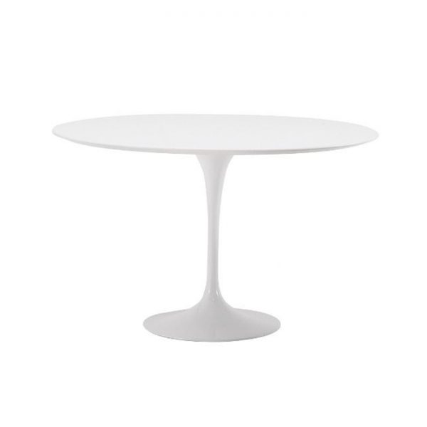 Mesa Tulip