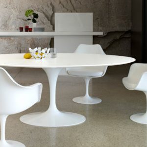 Mesa Tulip - Image 3